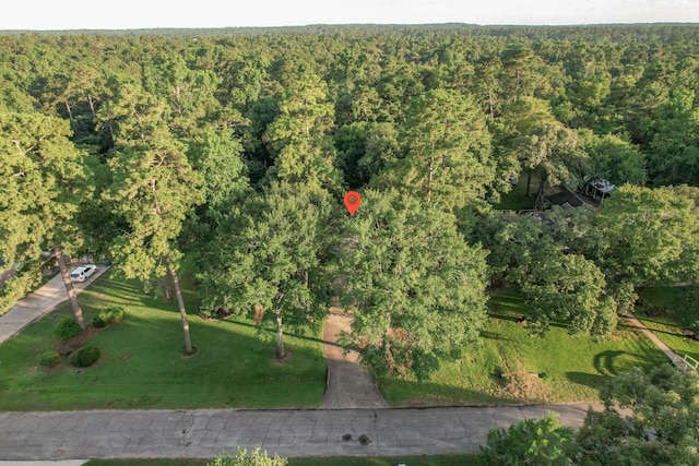 24806 Silver Leaf St, Magnolia, TX 77355 - aerial overview of property's location featuring a heavily wooded area