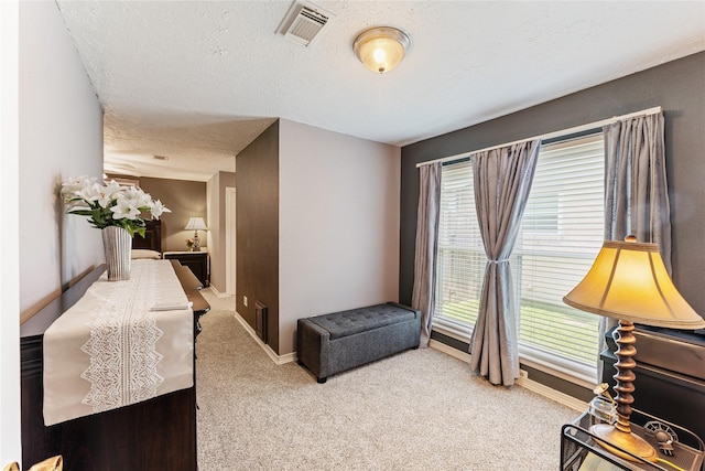 3426 Acorn Springs Ln, Spring, TX 77389 - bedroom featuring carpet flooring and a textured ceiling
