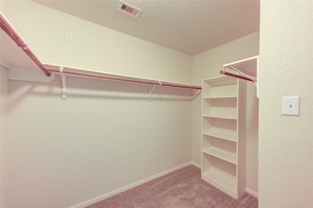 14839 Fir Knoll Way, Cypress, TX 77429 - walk in closet featuring carpet floors