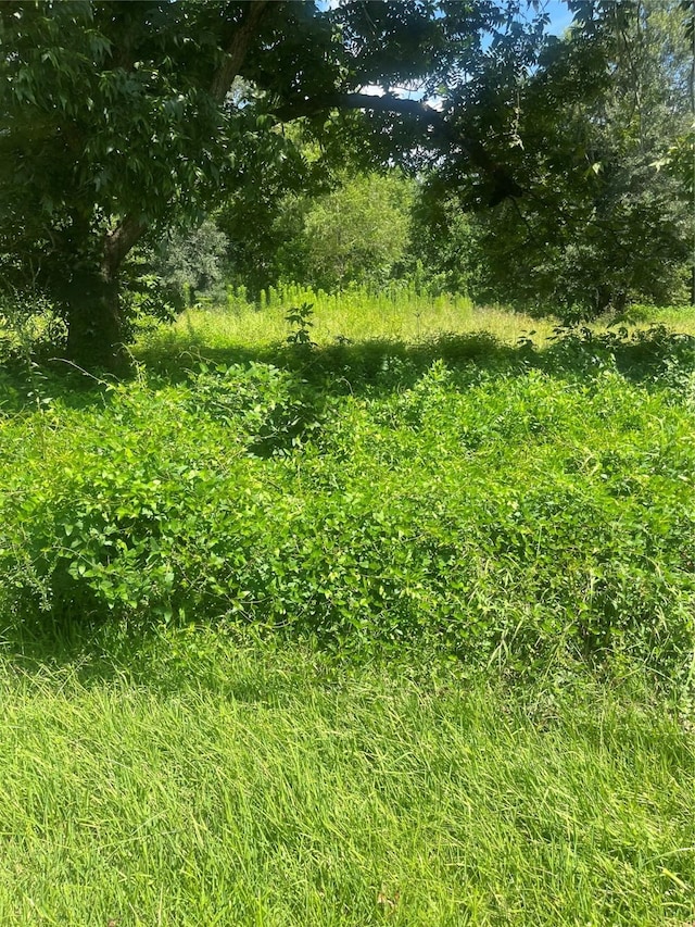 1001 Avenue E Ave E, Conroe, TX 77301 - photo 1