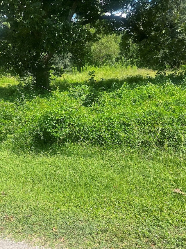 1001 Avenue E Ave E, Conroe, TX 77301 - photo 3