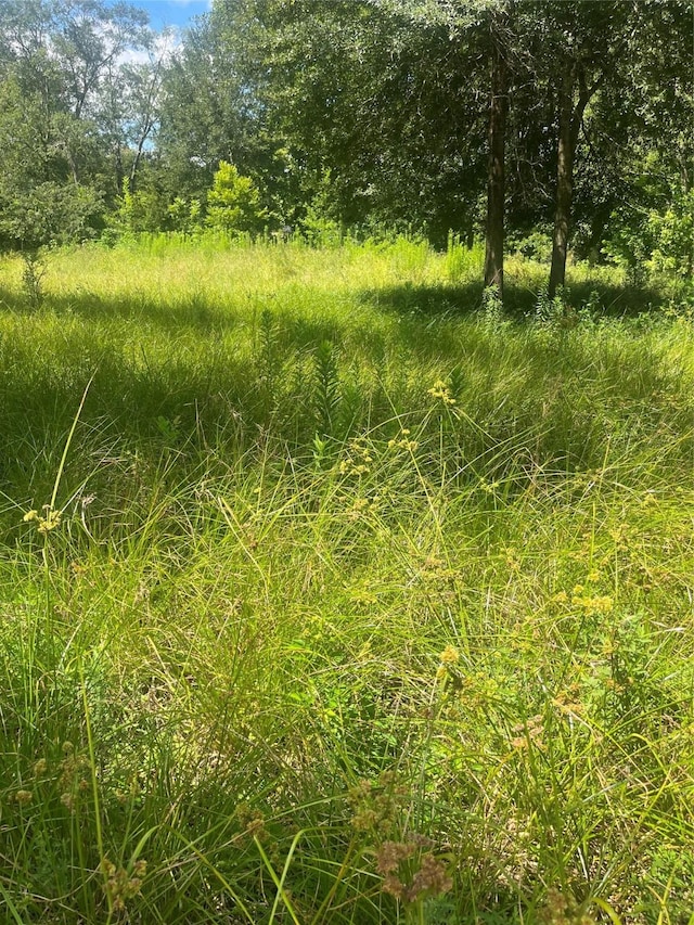 1001 Avenue E Ave E, Conroe, TX 77301 - photo 4