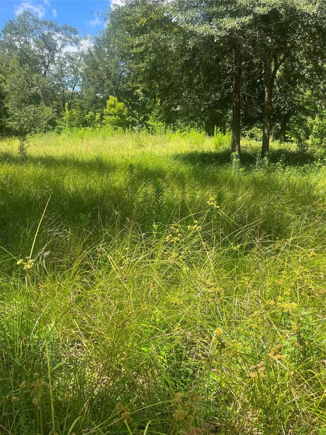 1001 Avenue E Ave E, Conroe, TX 77301 - photo 7