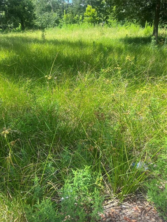 1001 Avenue E Ave E, Conroe, TX 77301 - photo 8