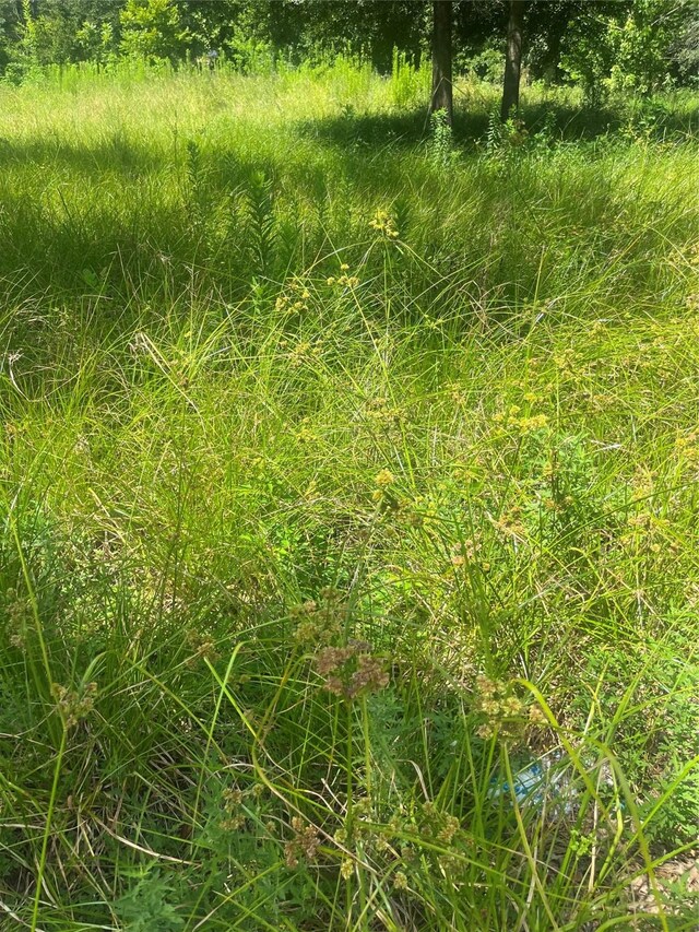 1001 Avenue E Ave E, Conroe, TX 77301 - photo 9
