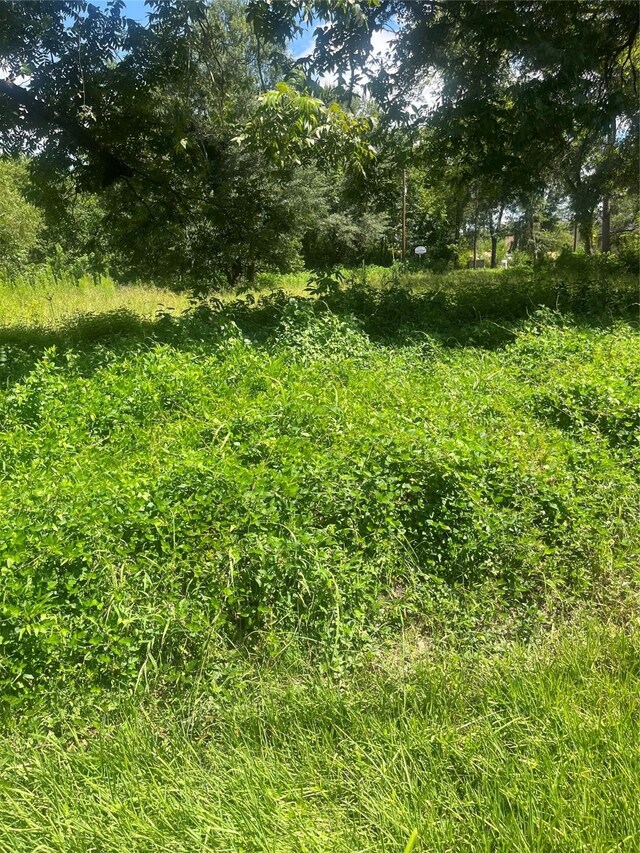 1001 Avenue E Ave E, Conroe, TX 77301 - photo 10