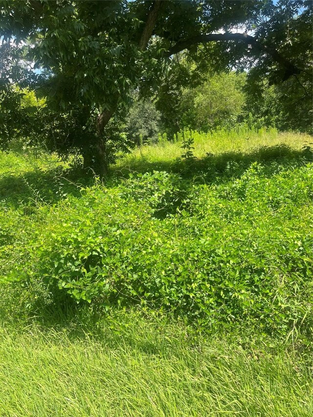 1001 Avenue E Ave E, Conroe, TX 77301 - photo 11
