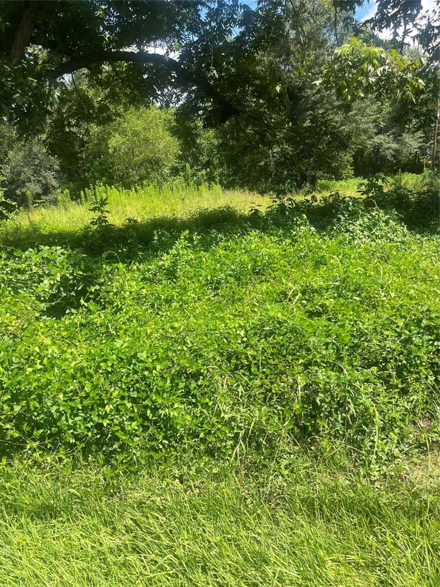 1001 Avenue E Ave E, Conroe, TX 77301 - photo 12