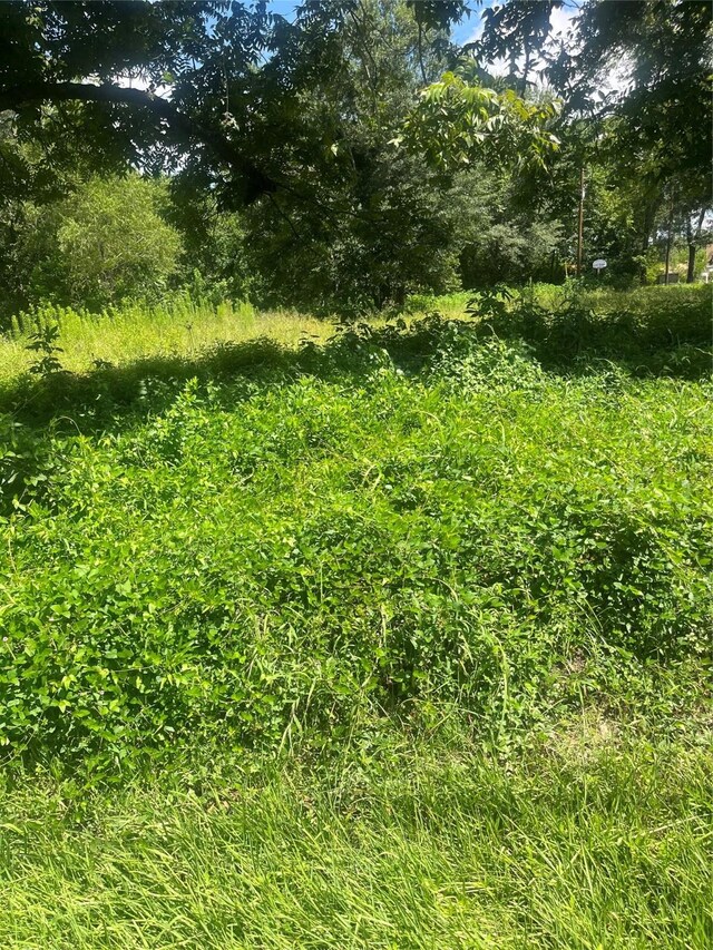 1001 Avenue E Ave E, Conroe, TX 77301 - photo 13