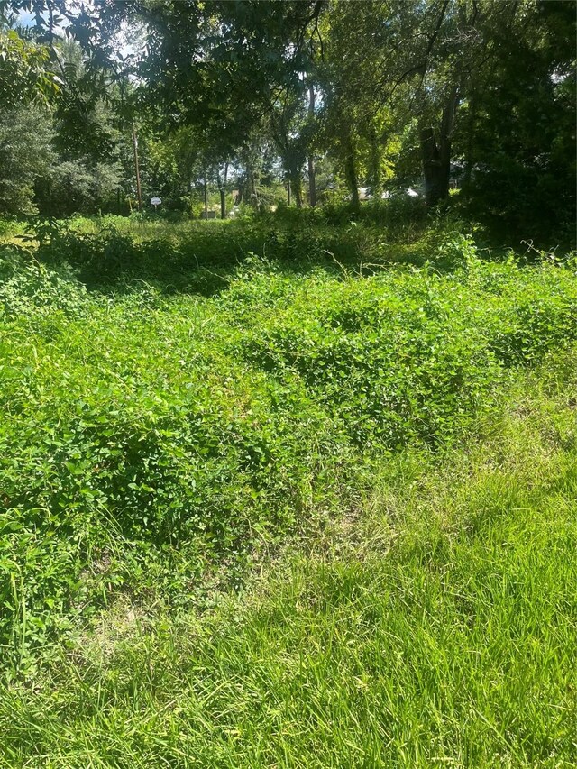 1001 Avenue E Ave E, Conroe, TX 77301 - photo 14