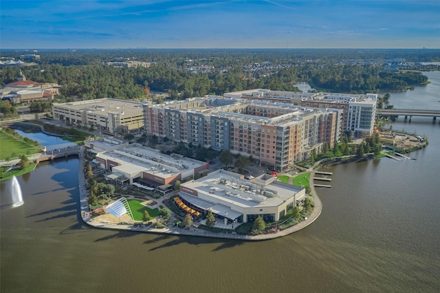 62 N Turtle Rock Ct, The Woodlands, TX 77381 - drone / aerial view of a large body of water