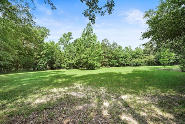 7417 Teaswood Dr, Conroe, TX 77304 - photo 4