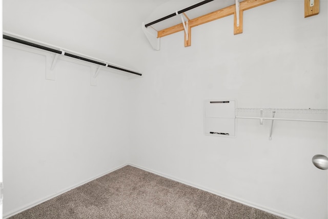 20213 Portbec Dr, New Caney, TX 77357 - spacious closet featuring carpet flooring