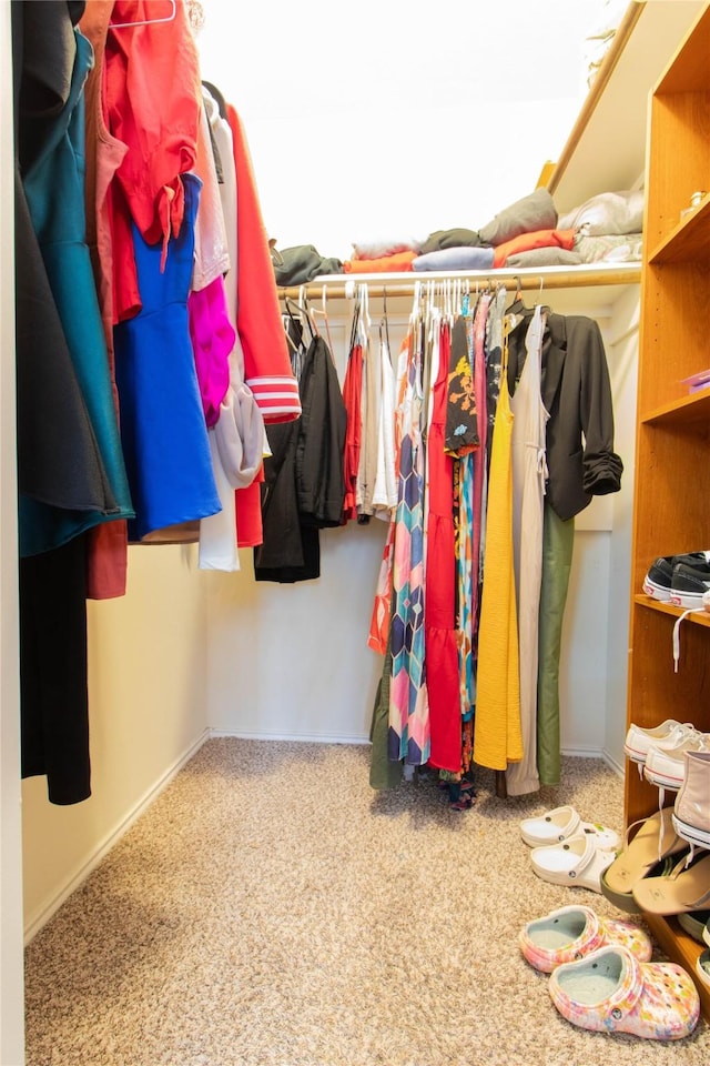 1526 Daffodil Rd, Missouri City, TX 77489 - walk in closet with carpet