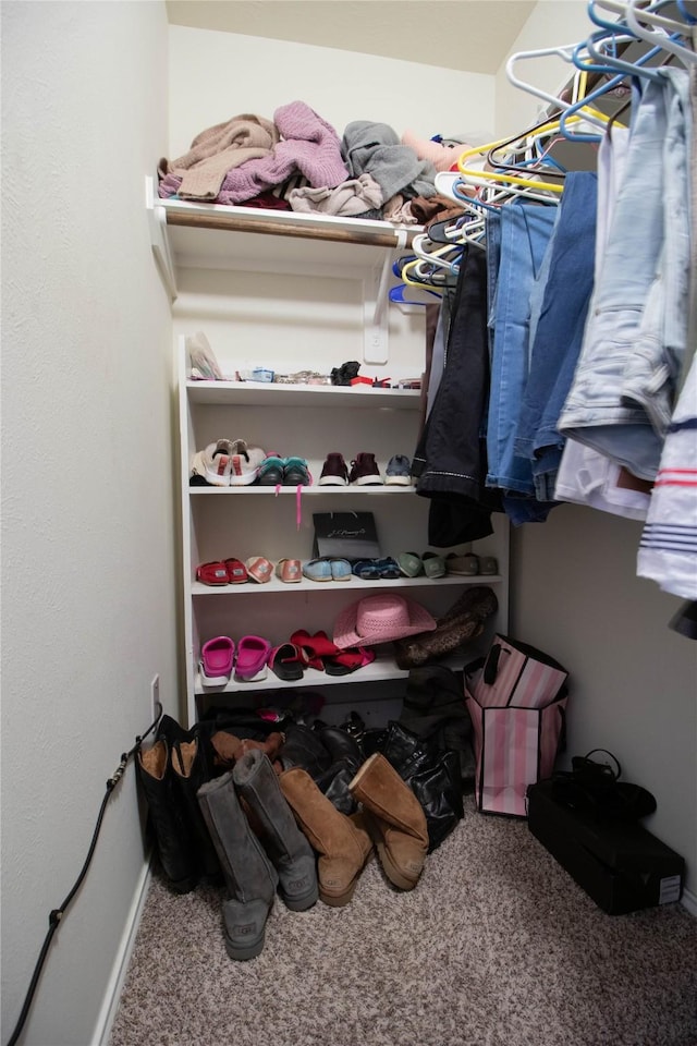 1526 Daffodil Rd, Missouri City, TX 77489 - spacious closet with carpet floors