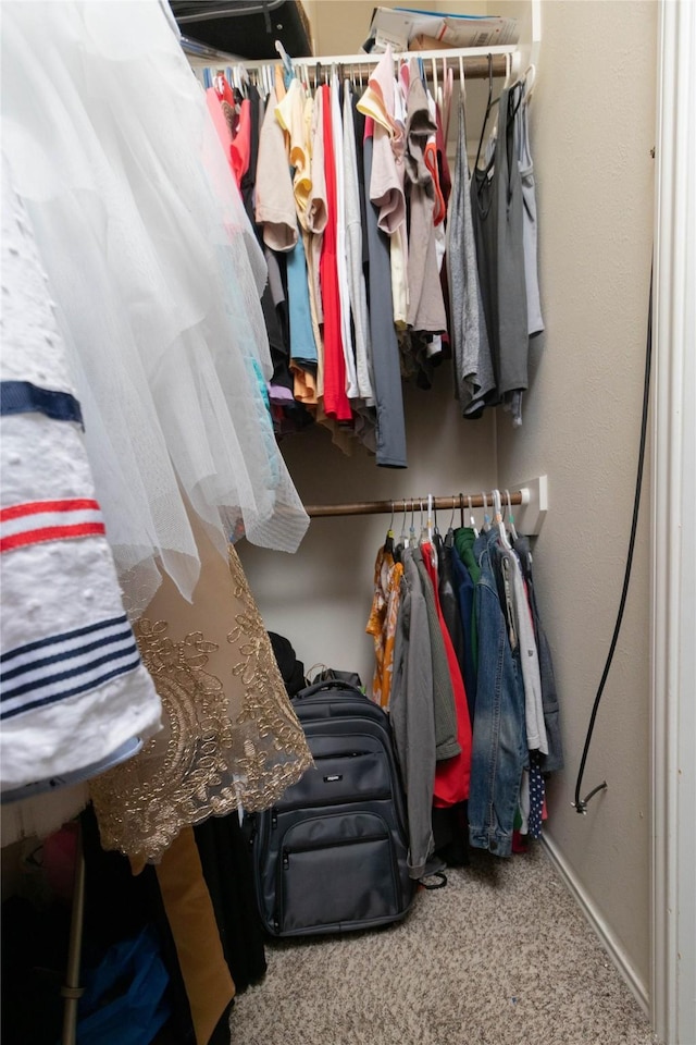 1526 Daffodil Rd, Missouri City, TX 77489 - walk in closet with carpet