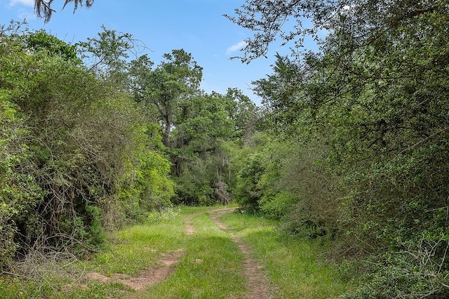 TBD Deer Hollow Rd, Weimar, TX 78962
