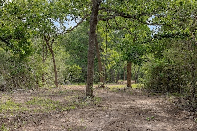 TBD Deer Hollow Rd, Weimar, TX 78962