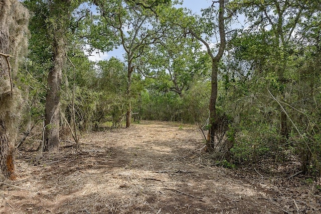 TBD Deer Hollow Rd, Weimar, TX 78962