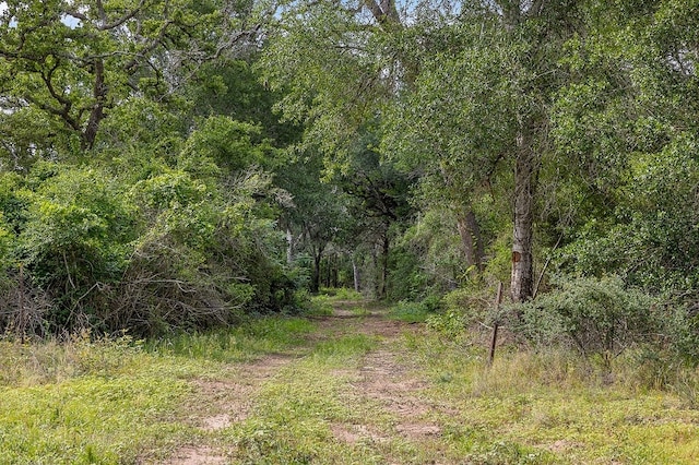 TBD Deer Hollow Rd, Weimar, TX 78962