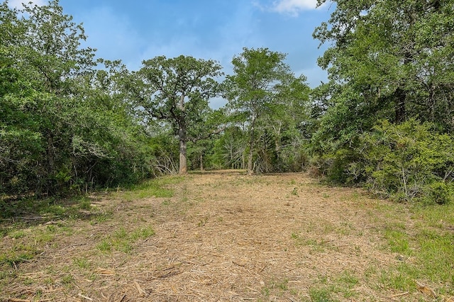 TBD Deer Hollow Rd, Weimar, TX 78962