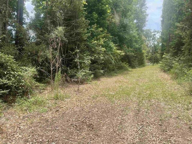 01 County Road 4600, Fred, TX 77616 - photo 1