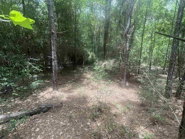01 County Road 4600, Fred, TX 77616 - photo 3