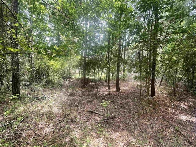 01 County Road 4600, Fred, TX 77616 - photo 5