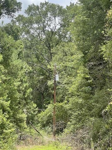 01 County Road 4600, Fred, TX 77616 - photo 12