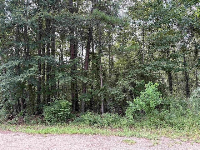 19129 Durham Ct, New Caney, TX 77357
