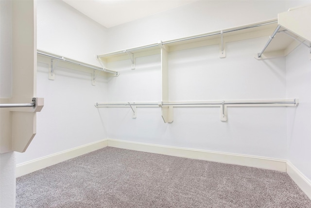 29110 Davenport Dr, Katy, TX 77494 - walk in closet with carpet floors