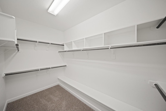 5706 Jenolan Ridge Ln, Sugar Land, TX 77479 - walk in closet featuring carpet flooring