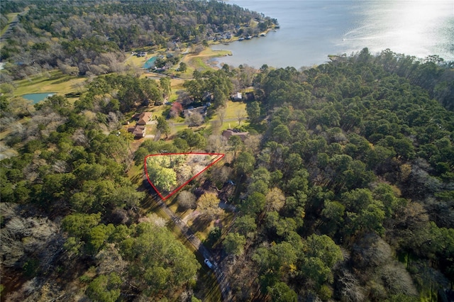 0 Pinemont Way, Point Blank, TX 77364