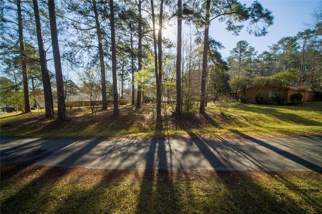 0 Pinemont Way, Point Blank, TX 77364