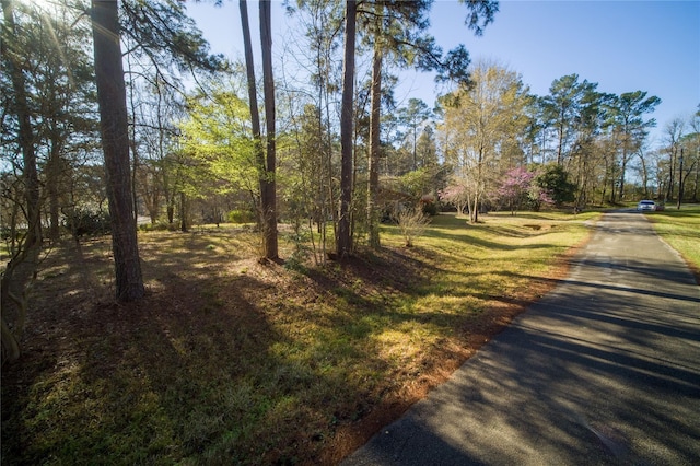 0 Pinemont Way, Point Blank, TX 77364