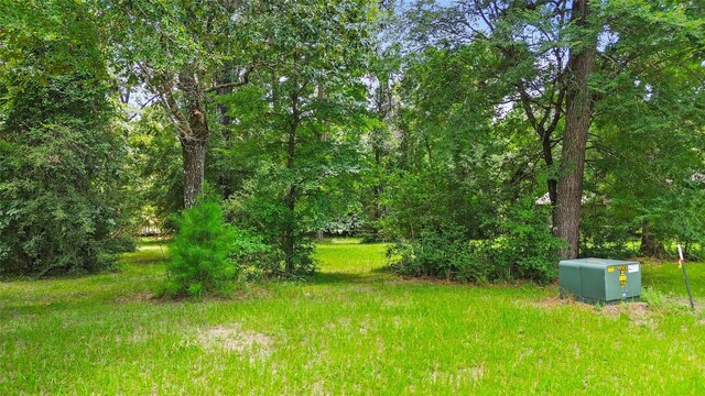 84 Hillsborough Dr, Huntsville, TX 77340 - photo 5