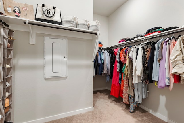 10005 Red Beadtree Pl, Conroe, TX 77385 - spacious closet with electric panel and carpet
