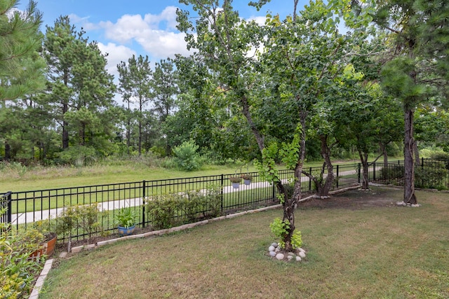 10005 Red Beadtree Pl, Conroe, TX 77385 - view of yard