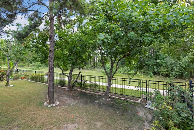 10005 Red Beadtree Pl, Conroe, TX 77385 - view of yard