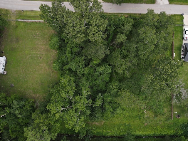 TBD Little Doe Dr, Crosby, TX 77532 - photo 2