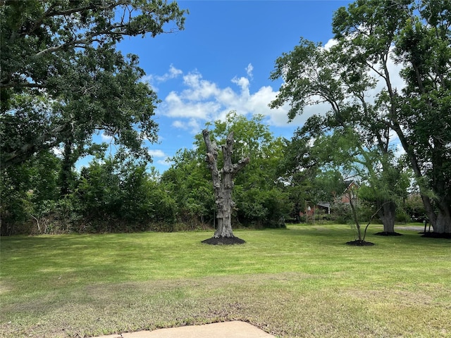 5 Colony Dr, Angleton, TX 77515 - photo 32