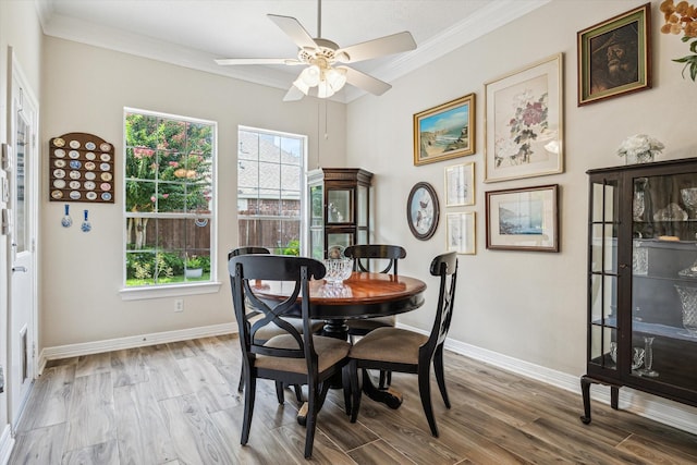 1607 N Primavera Dr, Pearland, TX 77581 - dining area with light wood-type flooring, ceiling fan, and ornamental molding