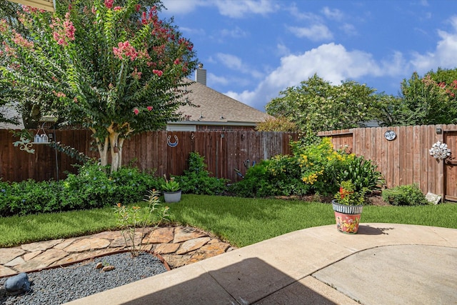 1607 N Primavera Dr, Pearland, TX 77581 - fenced backyard featuring a patio area