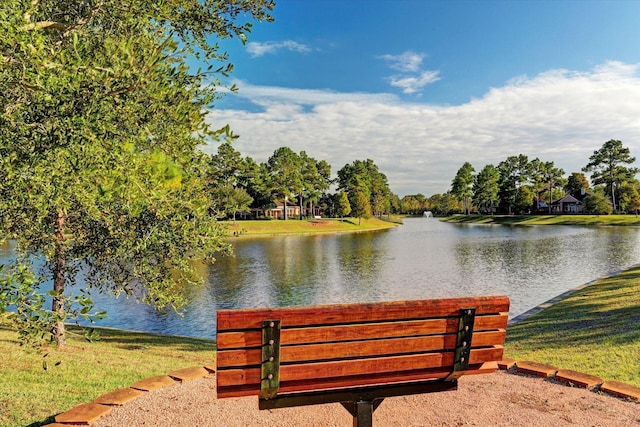 1607 N Primavera Dr, Pearland, TX 77581 - view of community with a water view and a lawn