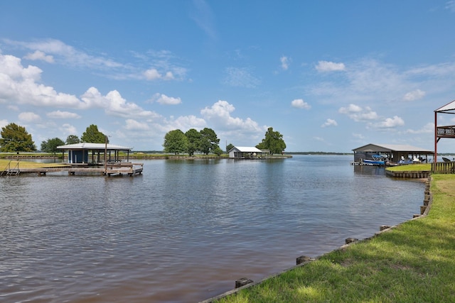 20559 Red Bud Ct, Thornton, TX 76687 - water view with a boat dock