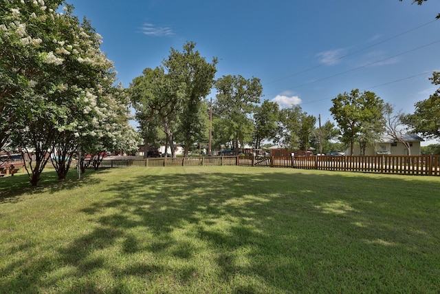 20559 Red Bud Ct, Thornton, TX 76687 - view of fenced yard