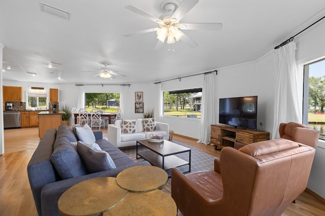 20559 Red Bud Ct, Thornton, TX 76687 - living room with healthy amount of natural light, ceiling fan, and light wood-type flooring