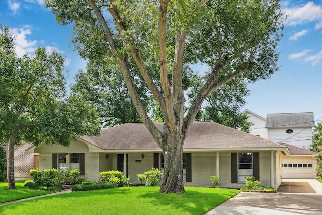 6249 Piping Rock Ln, Houston, TX 77057 - ranch-style house with brick siding, driveway, a front lawn, and a shingled roof