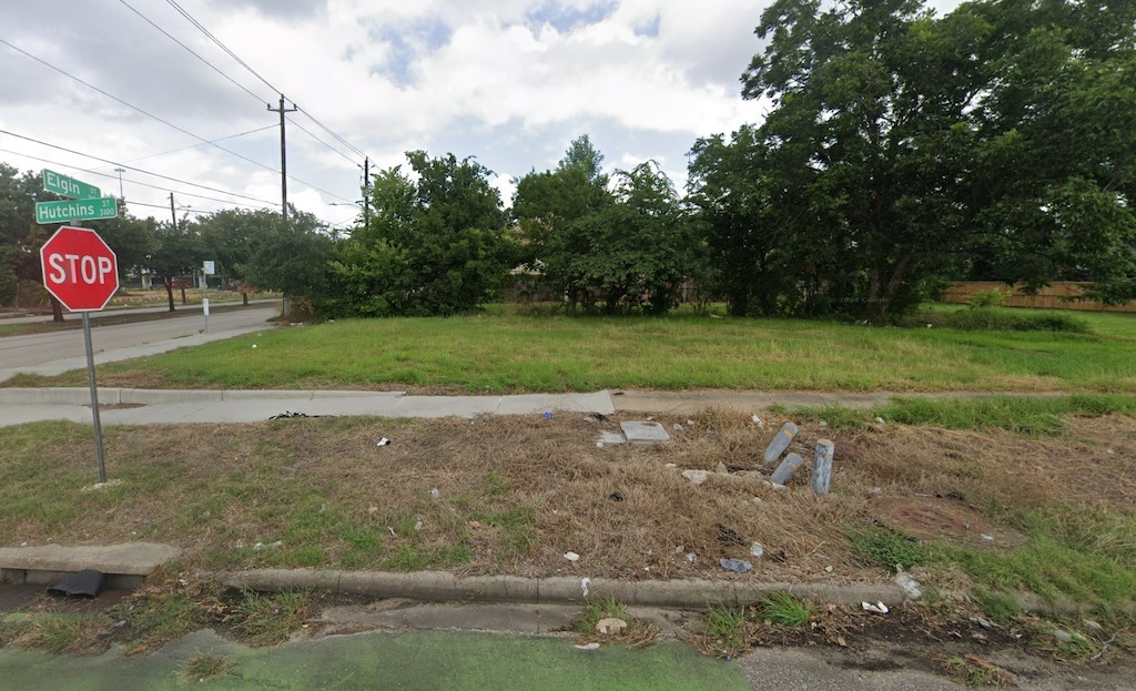 2123 Elgin St, Houston, TX 77004