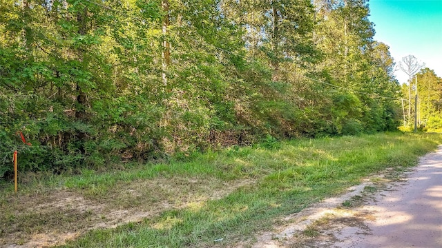 TBD Timbergrove, Livingston, TX 77351